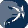TFY GLOBAL MARKETS LIMITED