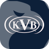 KVB Kunlun Securities (HK) Limited