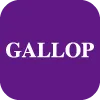 GALLOP INTERNATIONAL GROUP PTY LTD(Australia)