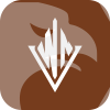 Nexus Trade Company