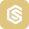 GS SECURITIES
