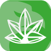 Planetree Securities Limited