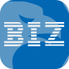 BIZ SOLUTIONS LIMITED
