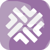FluxAsset