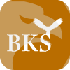 BKS Fintech