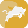 Pearl Capital Markets