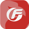 FUHUI FX 