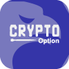  Crypto Option