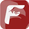 FINOWIZ