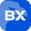 8 Bitnex