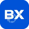 8 Bitnex