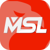 MSL CAPITAL MARKETS LIMITED