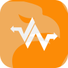 Trading Option Xchange