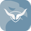 ToroInvest