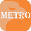 Metro Wealth Investment Company