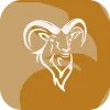 FX Goat