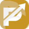 Golden Pivot Capital Limited