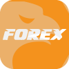 FOREX GLOBAL COIN