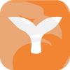 Safecryptotrades