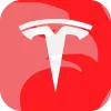 Tesla Stock