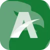MSA