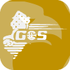 GSFS