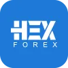Hexforex
