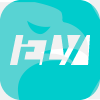 ELV Markets