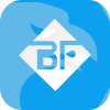 Bulge Group Investments Limited