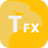 TFX