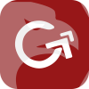 Commodity Forex Options