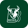 BRIGHT BULL FX LIMITED(United Kingdom)