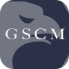 GS FINANCIAL SERVICE LIMITED
