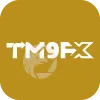 TM9FX