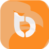 Bids Trading Limited