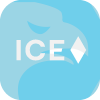 ICE FX Markets Limited