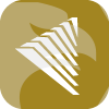 SVBC GOLD