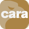 CARA MARKETS FINANCIAL BROKERS L.L.C