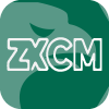 ZX Capital Markets Ltd
