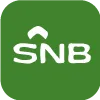 SNB CAPITAL LLC(Texas (United States))