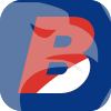 BWIN BROKERS LIMITED