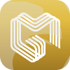 MG FINANCIAL LLC