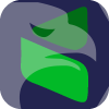 Capital Market Solutions Inc