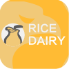 Rice Dairy