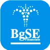 BGSE FINANCIALS LIMITED(India)