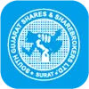 SOUTH GUJARAT SHARES AND SHAREBROKERS LIMITED(India)