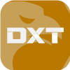 DXT