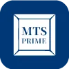 MTS PRIME SOLUTIONS LIMITED(United Kingdom)