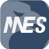 MES