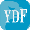 Grand International Futures Co., Limited